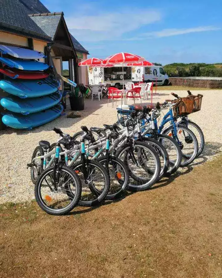Location de vélos à Erdeven