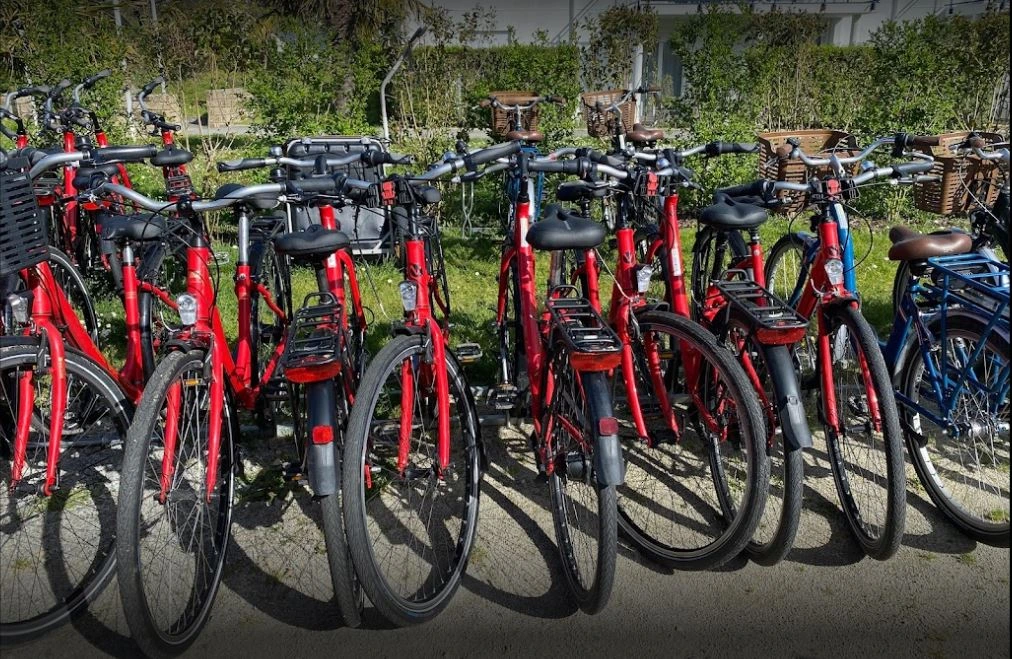 Vélos Île Aux Moines Bourg