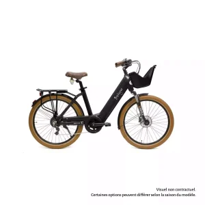 VAE arcade charlie velo électrique