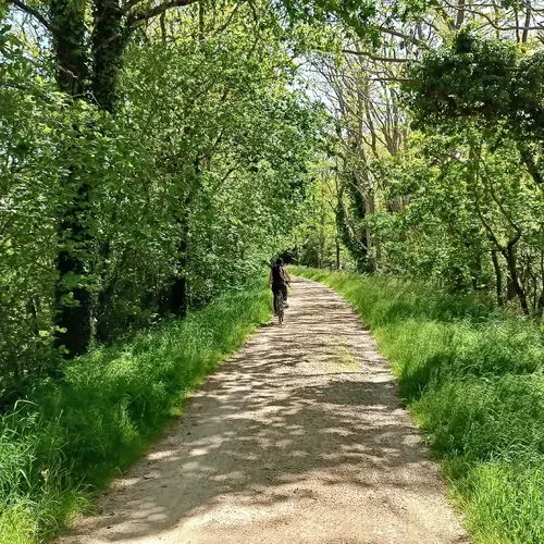 location de velo en itinérance avec la livraison de velos