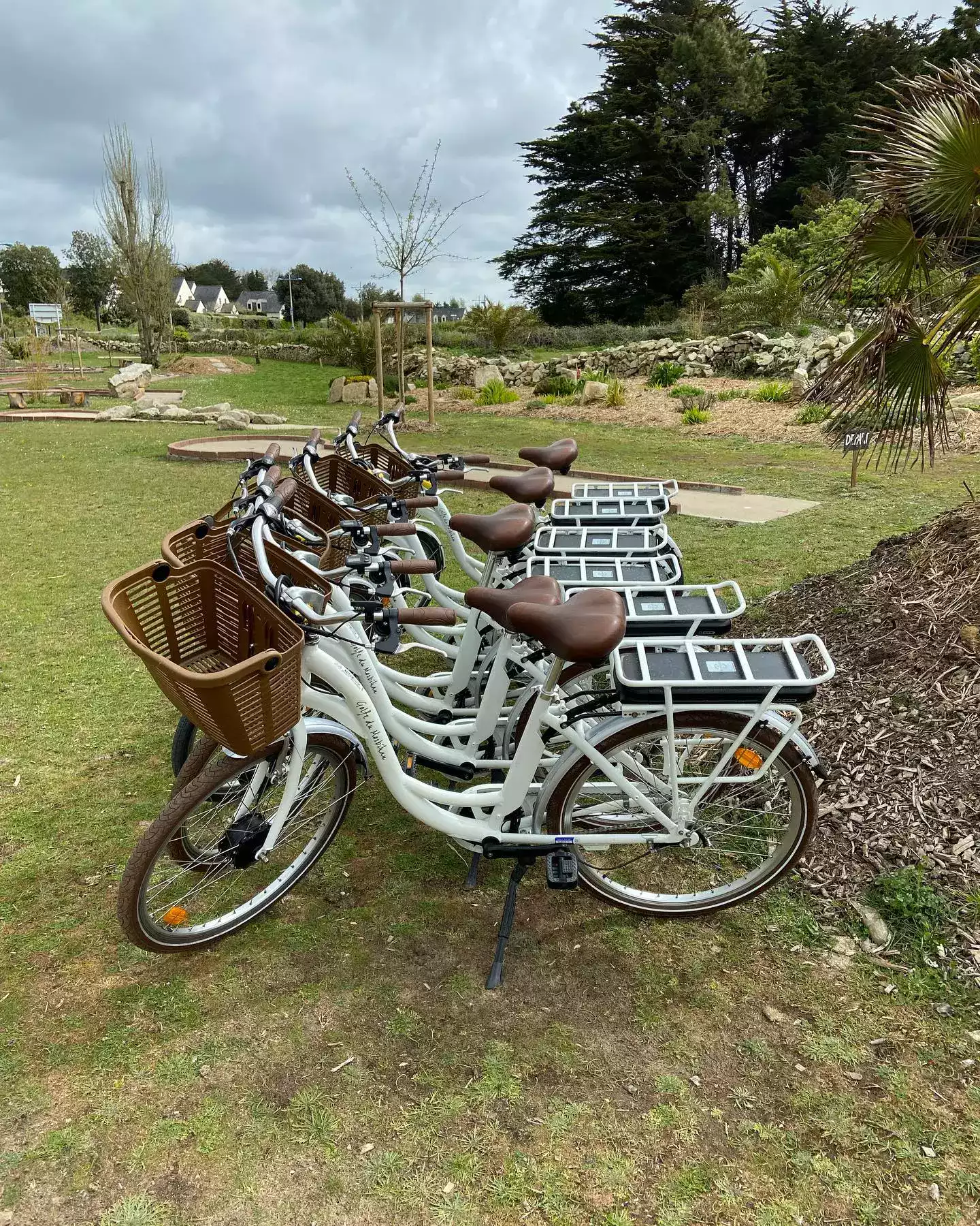 Location de vélos à Erdeven
