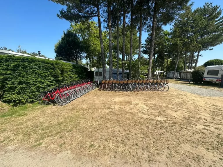 Photo de séminaire à vélo