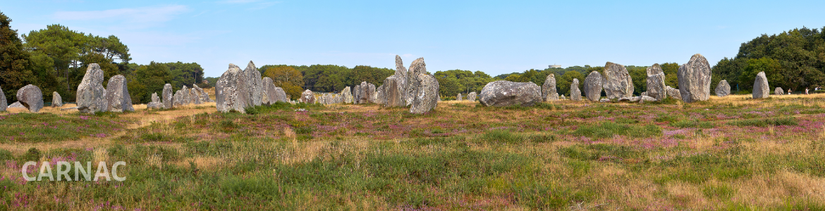 Location de vélos Carnac