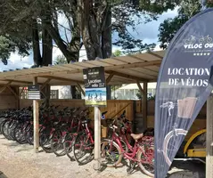 location velos sene